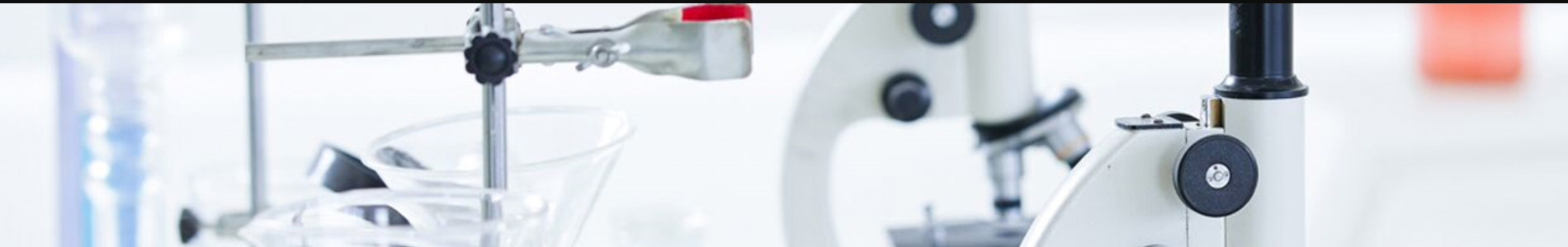 ADHESIVE SILVER ION WOUND DRESSING